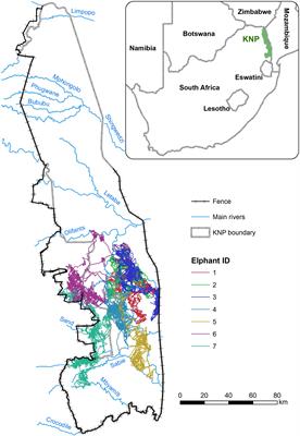 Temporal Non-stationarity of Path-Selection Movement Models and Connectivity: An Example of African Elephants in Kruger National Park